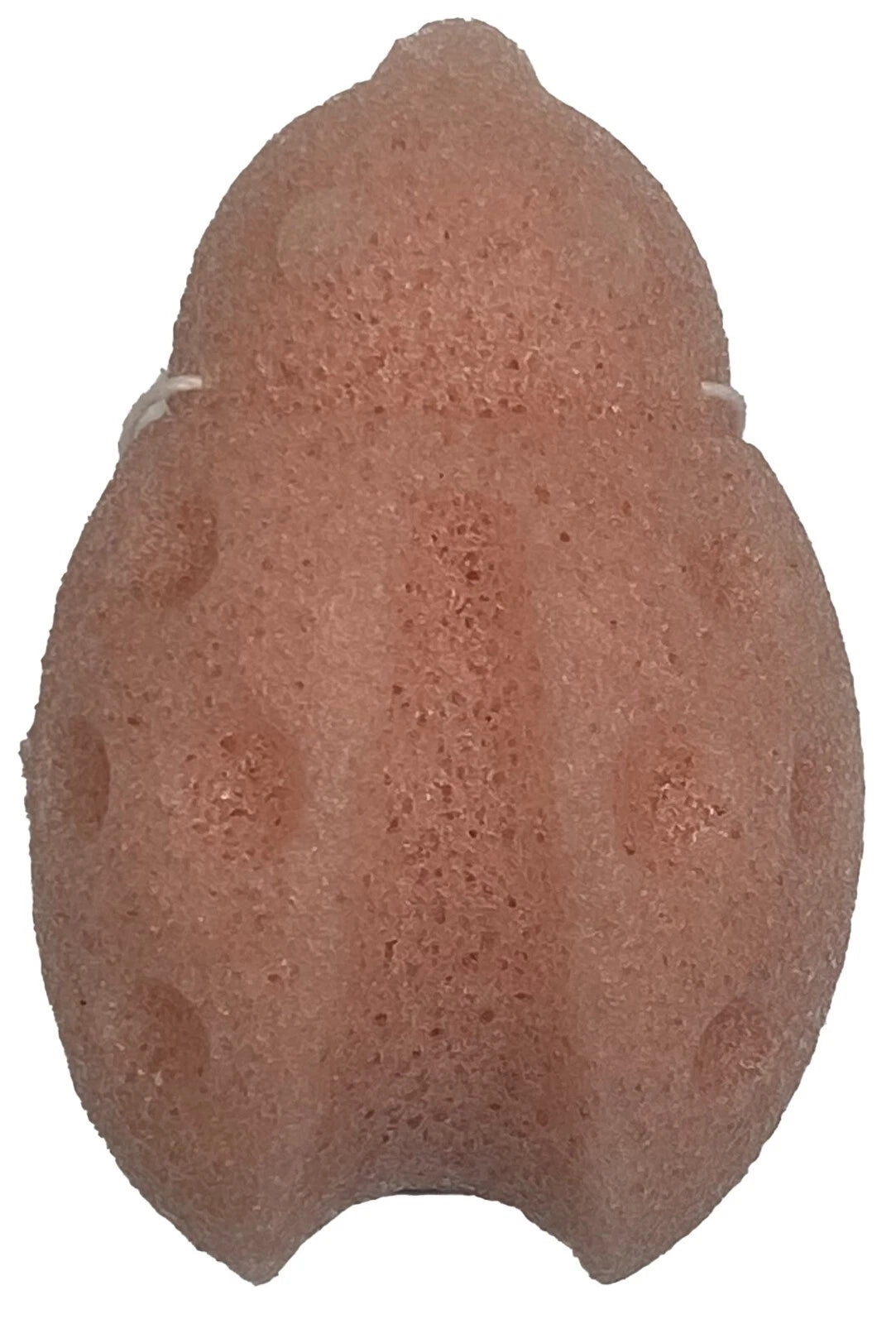 4 Cute Animal Konjac Natural Plant Based Baby Bath Sponge Toy Sensitive Skin